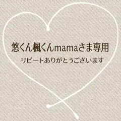 悠くん楓くんmama様 リクエスト 2点 まとめ商品