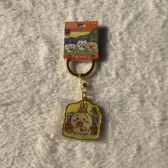 うさぎ 愛媛 ご当地キーホルダー