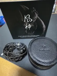 Item thumbnail for item 8ef646c3-3b0f-4190-93b4-d484c7f4cfd3