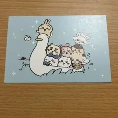 ちいかわ　ポストカード　１点