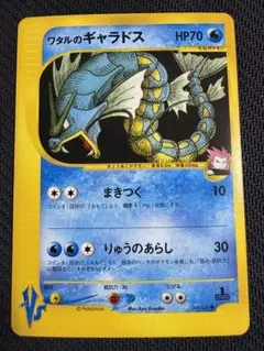 イブキとワタルのギャラドスセット イブキとワタルのギャラドスセット 2025年最新】イブキの