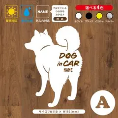 Item thumbnail for item f9f5a8b3-ca4d-4f3e-a131-7fbac631a27f