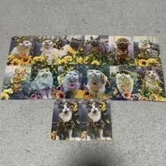 【ユユん様　専用】