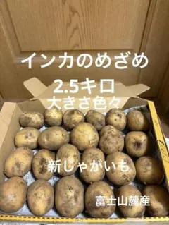 掘り立て発送‼️徳島産いんかのめざめ2L5キロ新じゃがいも 無農薬