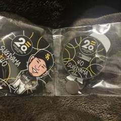 Item thumbnail for item 5953eacd-dbaa-4f8b-a9e1-c53d661b6e30