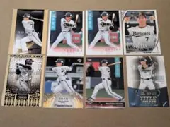 Item thumbnail for item 99db8e33-a151-4471-9259-84f740d2ea24