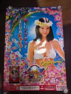 PA大海物語5 Withアグネス・ラム A4ポスター 額付き - メルカリ
