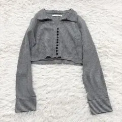 ロイヤルパーティー　クロップド　シャツ　トップス　長袖　ギンガムチェックのサムネイル