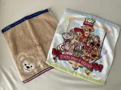 東京ディズニーリゾート ハンドタオル2枚セット