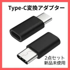 【2個】Lightning to Type-C変換アダプター 黒 転送 充電
