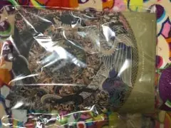 ファイアーエムブレムエンゲージ設定資料集