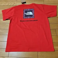 Item thumbnail for item 0590e698-6301-44ee-9bad-949483aadc5c