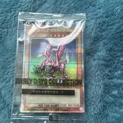 ホーリー・ナイト・ドラゴン 2006 WORLD CHAMPIONSHIP ホーリー・ナイト・ドラゴン 2006 WORLD CHAMPIONSHIP - メルカリ