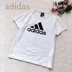 Item thumbnail for item 06662284-ab30-4cca-96c0-64c3f5777b36