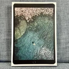 【 iPad Pro10.5 99% 付属品完備 】