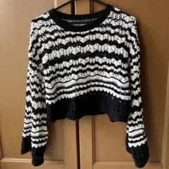 ZARA 透かし編みクロップドニットセーターストライプ