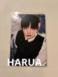&TEAM ハルア　HARUA Back to Life フォトカードB