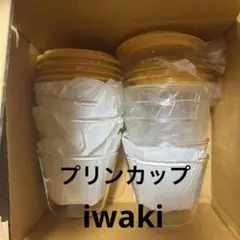 iwaki イワキ プリンカップ 10個セット フタ付き 保存容器 耐熱ガラス