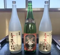 2026年最新】梅瓶の人気アイテム - メルカリ