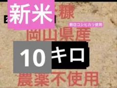 2026年最新】即購入可即日発送の人気アイテム - メルカリ