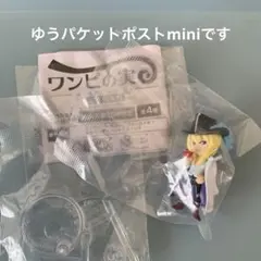 わんぴの実 アニメ