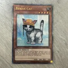 【希少】遊戯王　EU版　英語版　レスキューキャット　クオシク　1st