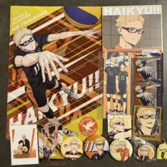 ハイキュー　月島蛍　カード　ステッカー　缶バッジ　色紙　グッズ　まとめ売り