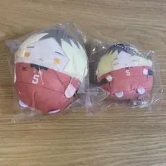 ハイキュー ぬいくじ 孤爪研磨
