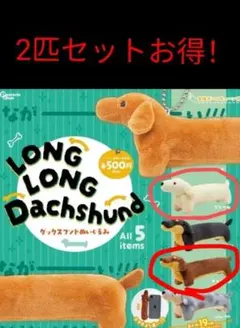 ●2匹セット●ロングロングダックスフンド　クリーム&チョコタン(^^)