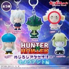 HUNTER×HUNTER キメラアント編　めじるしアクセサリー