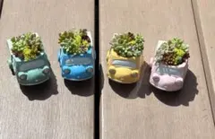 多肉植物 寄せ植え そのまま飾れる オート三輪Boooon!!♡ピンク