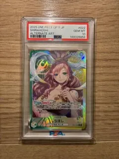 しらほし (パラレル) PSA10