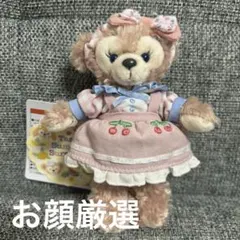 お顔厳選　テイスティーサマーサプライズ シェリーメイ ぬいぐるみバッジ