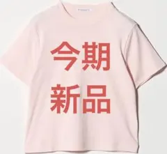 新品　BEAUTY&YOUTH オーガニックコットンTシャツのサムネイル
