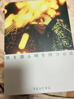 SUPER JUNIOR イェソン 咲き誇る時を待つのは 通常盤 トレカ付 - メルカリ