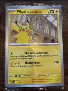 Pikachu at the Museum ピカチュウ ロンドン自然史博物館 - メルカリ