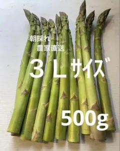 朝採れ　農家直送　アスパラ　アスパラガス　500gのサムネイル