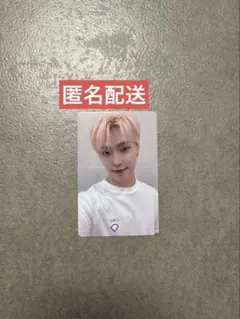 【匿名配送】SEVENTEEN ディノ　一直娱