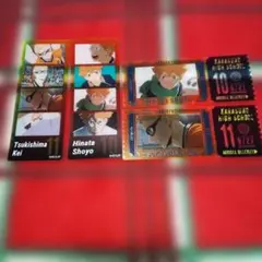 ハイキュー フォトグレイステッカー 日向 月島