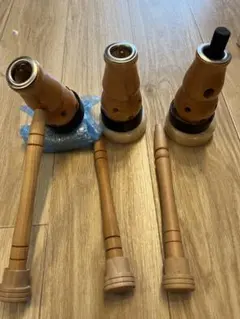 Item thumbnail for item 8c49ddce-b0f6-4246-ab37-dfdbc2d48ce8