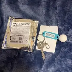 ハイキュー 鍵チャームキーホルダー 青葉城西