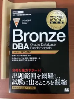 Bronze DBA Oracle Database Fundamentals…