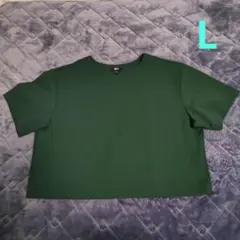 UNIQLO C グリーン グレープジャージーTシャツ Lサイズ