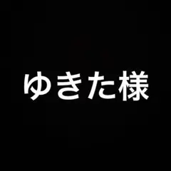 ゆきた様 リクエスト 2点 まとめ商品