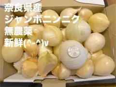 奈良県産 ジャンボニンニク 無農薬 2.５キロのサムネイル