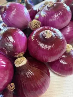 【規格外】農薬を使わず自家鶏糞のみで育てた『赤玉ねぎ』5㎏のサムネイル