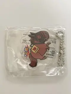 UMAbred ウーマブレッド　JBCクラシック　船橋競馬場　テーオーケインズ