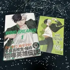 2025年最新】WIND BREAKER 特典 巻の人気アイテム - メルカリ