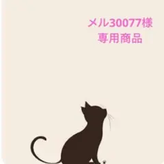 メル30077様 リクエスト 6点 まとめ商品