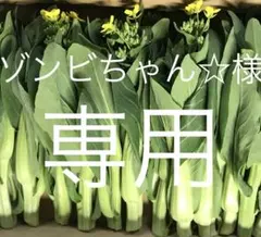 【ゾンビちゃん☆プロフィ必読様専用】チンゲンサイの菜花